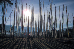 2012_bhutan_bumthang_to_trongsa002_1200x800