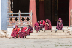 2012_bhutan_phobjikha_valley053_1200x800