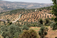 2014_jordan_ajloun_castle002_1200x800