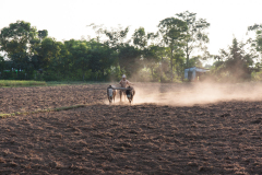 2012_nepal_chitwan266_1200x800