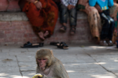 2012_nepal_kathmandu111_1200x800